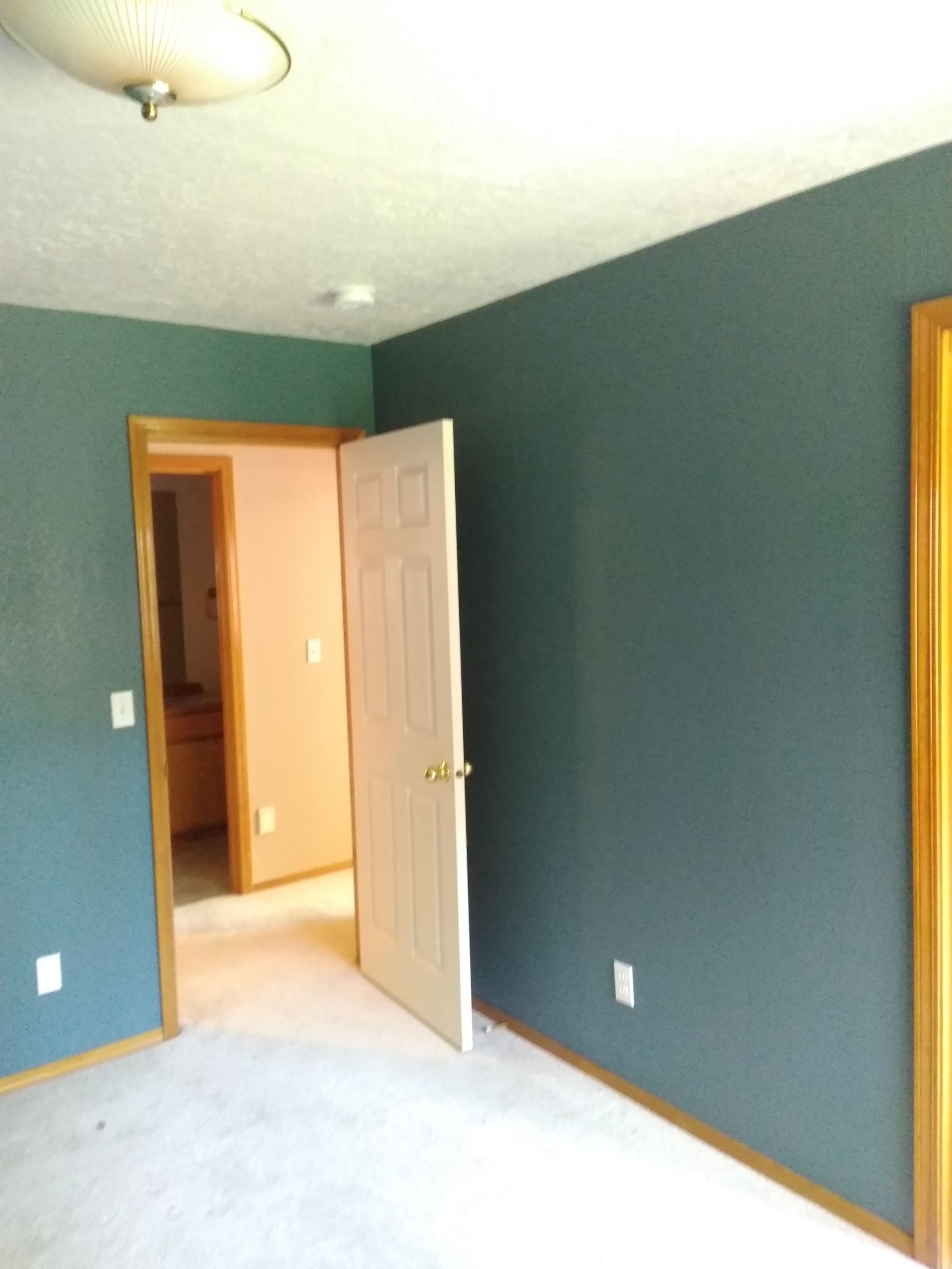 Pro Finish Painting Image